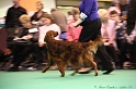 Crufts2011_2 177